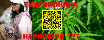 кокс Краснодар