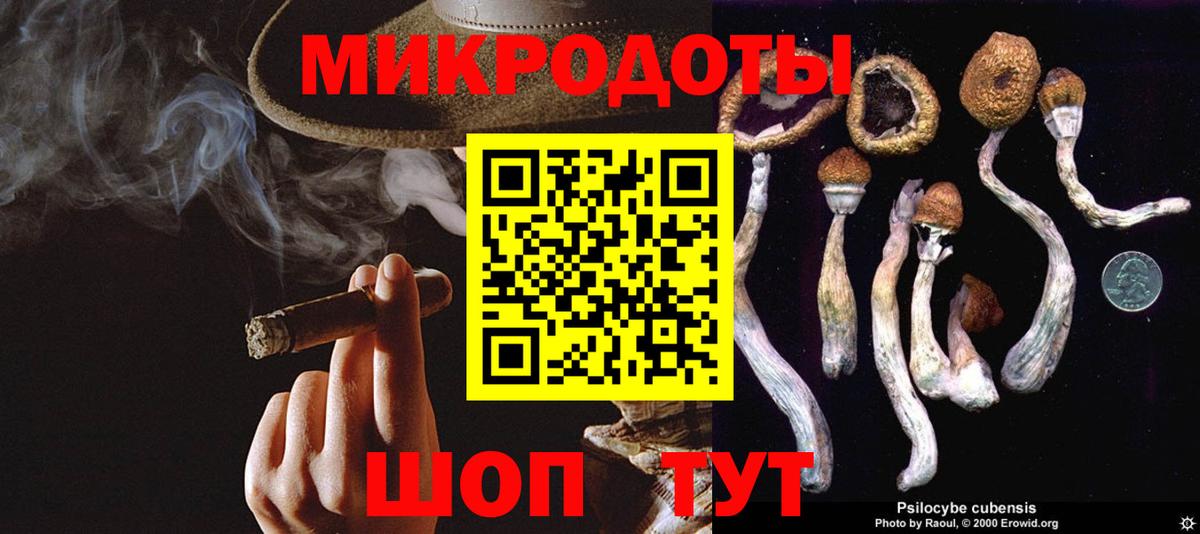 Галлюциногенные грибы GOLDEN TEACHER Калининград