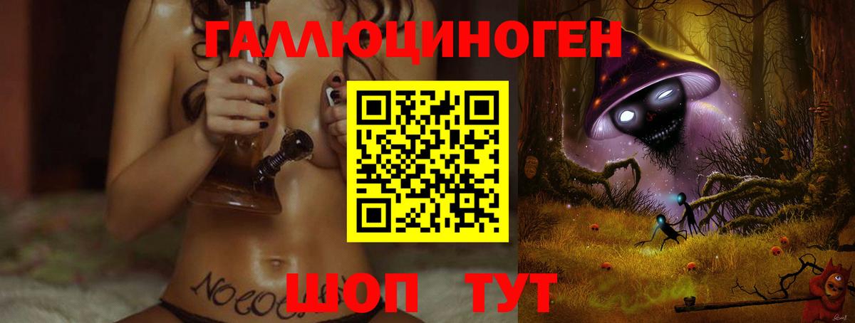 Калининград  Псилоцибиновые грибы мицелий  Вход с VPN 